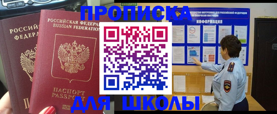 форма 3 в Сольцах